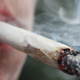 Image for article titled There Sure Is a Lot of Poop in Weed, Study Says